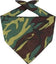 files/Big_Accessories_BA001_Solid_Bandana_FOREST_CAMO_HIT_a_Double_3.jpg
