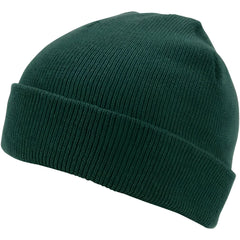 Champro HBE1 Polar Cuff Beanie - Forest Green - Forest / One Size Fits Most
