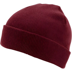 Champro HBE1 Polar Cuff Beanie - Maroon - Maroon / One Size Fits Most