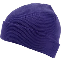 Champro HBE1 Polar Cuff Beanie - Purple - Purple / One Size Fits Most