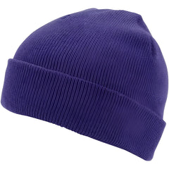 Champro HBE1 Polar Cuff Beanie - Purple - Purple / One Size Fits Most