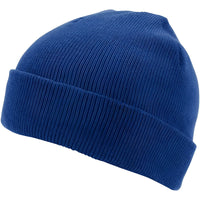 Champro HBE1 Polar Cuff Beanie - Royal - Royal / One Size Fits Most