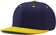 files/champro-hc4-pennant-snapback-navy-gold-463.webp