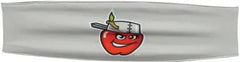 OC Sports MIN-353 MiLB Reversible Cooling Headband - Fort Wayne Tincaps - Forest Light Gray / One Size Fits Most
