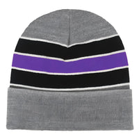 Pennant HW23 University Beanie Purple Purple / OSFM