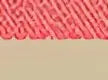 Adams Headwear OL102 Ollie Distressed Cap - Coral Tan - Coral Tan / One Size Fits Most
