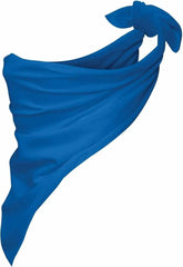 Augusta 2221 Bandana - Royal - Royal / OS