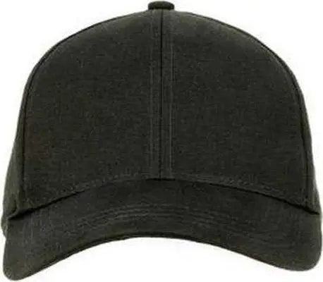 Econscious EC7025 6-Panel Organic Cotton Baseball Cap - Black - Black / One Size Fits Most