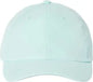 Imperial X210P The Original Performance Cap Robins Egg Mint / One Size Fits Most
