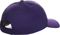 OC Sports MLB 350 MLB Polyester Baseball Adjustable Cap Arizona Diamondbacks Legacy