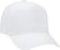 files/otto-31-538-cotton-twill-5-panel-pro-style-cap-with-fabric-adjustable-hook-white-389.webp