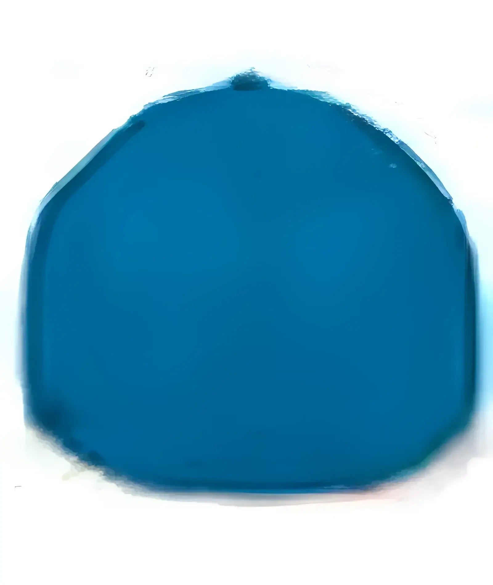 Pacific Headwear 404F Trucker Flexfit Cap - Black Neon Blue Black