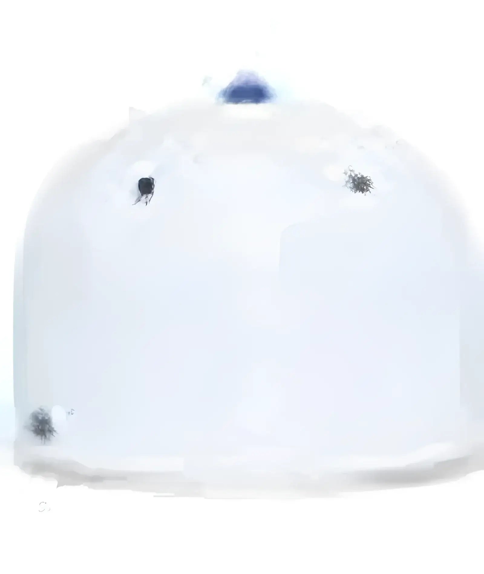 Pacific Headwear ES471 Premium Lightweight Perforated Pacflex Coolcore Cap - White Royal