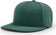 files/richardson-pts20-pulse-r-flex-caps-dark-green-419.webp