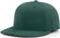 files/richardson-pts30-lite-r-flex-caps-dark-green-538.webp