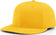 files/richardson-pts30-lite-r-flex-caps-gold-675.webp