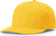 files/richardson-pts50-matrix-r-flex-caps-gold-396.webp