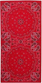 Valucap VC20 Neck Gaiter - Red Paisley - Red / One Size Fits Most