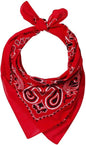 Valucap VC21 Face Bandana (pk of 3) - Red Paisley - Multi-Colored / One Size Fits Most