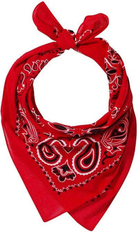 Valucap VC21 Face Bandana (pk of 3) - Red Paisley - Multi-Colored / One Size Fits Most