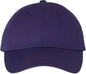 Valucap VC300A Adult Bio Washed Classic Dads Cap Purple Purple / 6 5/8’’ 7 3/8’’